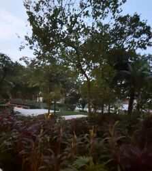 Sea Esta (D18), Condominium #578512501